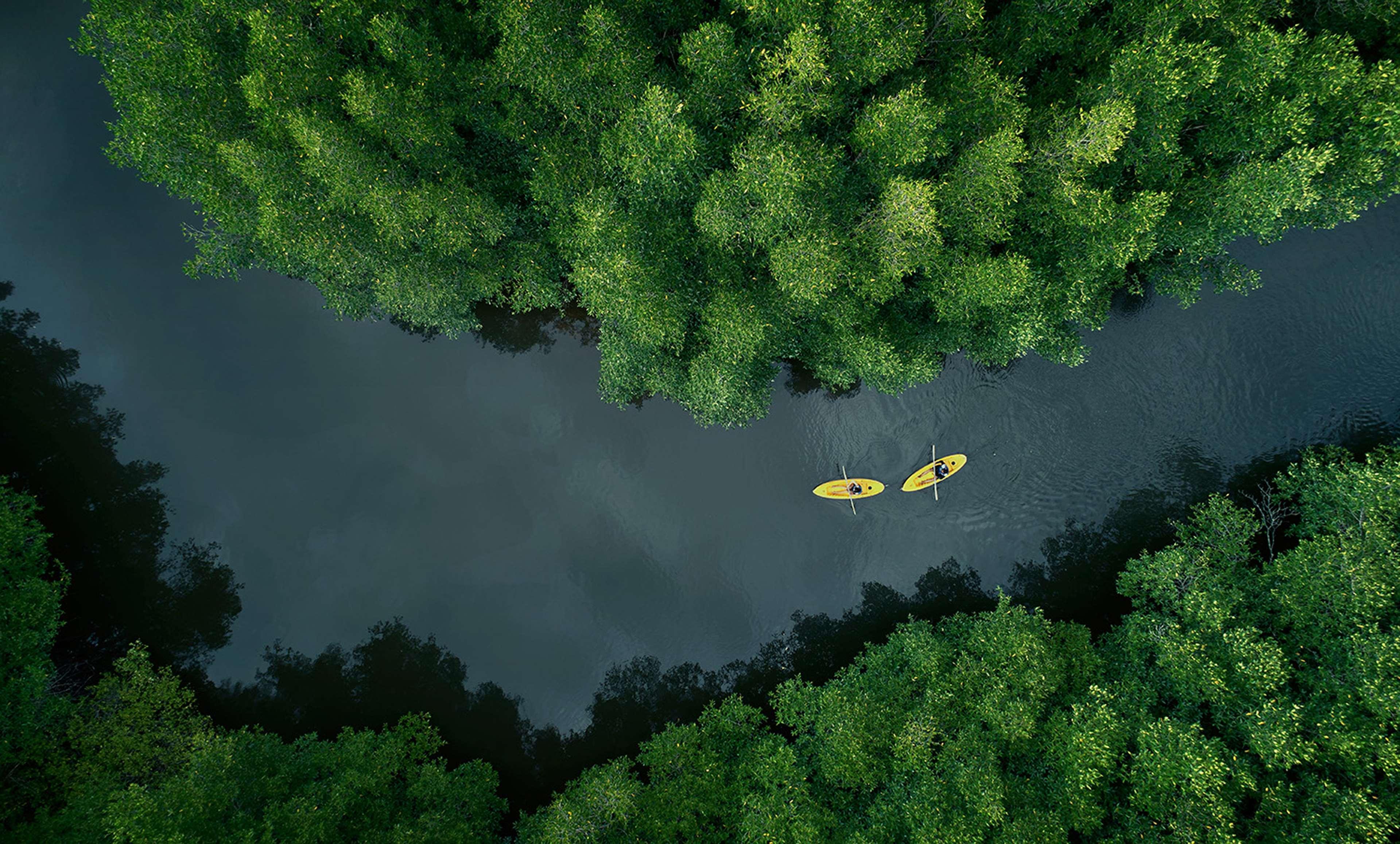 Shangri-La Rasa Ria, Кота Кинабалу Екстериор снимка Aerial view of the river